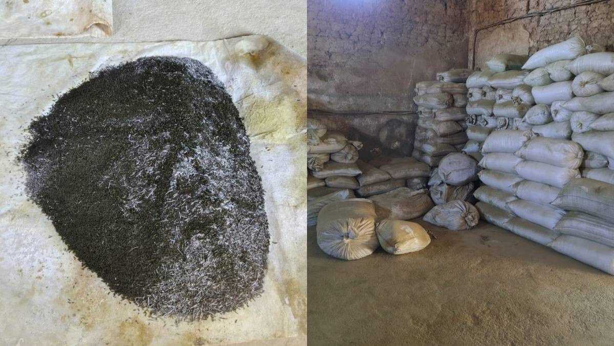 Подпольное производство насвая ликвидировали в Туркестанской области