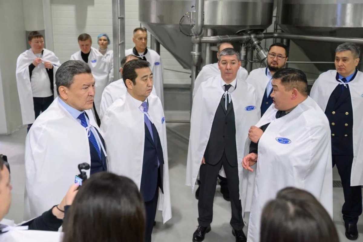 Производство сгущенного молока мощностью 12 тыс. тонн в год запустили в СКО