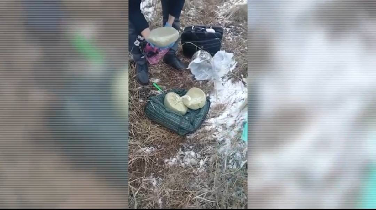 Межрегиональную наркосеть ликвидировали в Алматы: изъято более 16 кг гашиша