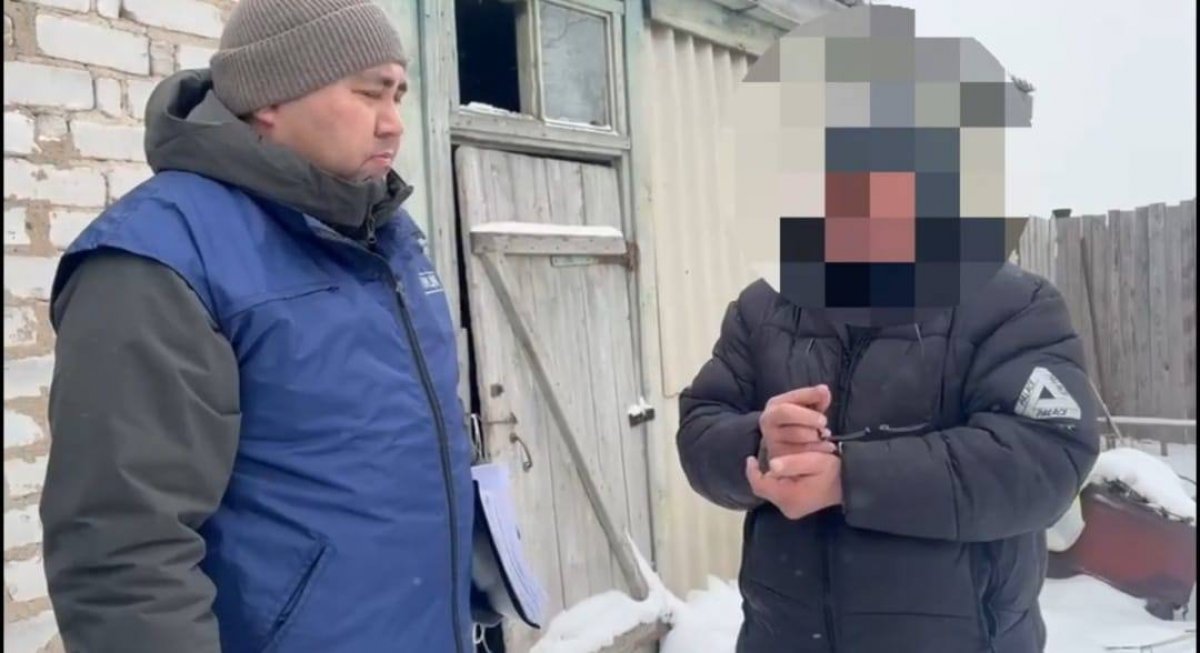 Табун жеребят похитили у жителя Акмолинской области: задержан подозреваемый