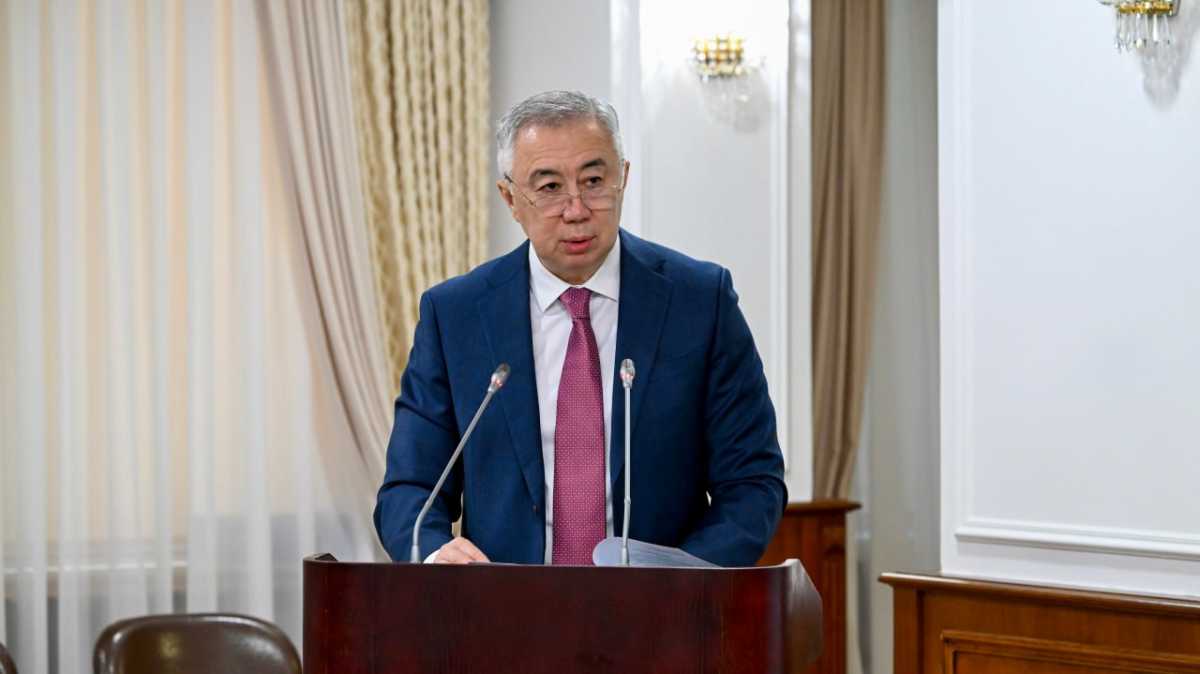 Никогда не стояла задача охватить мерами господдержки весь бизнес – Серик Жумангарин