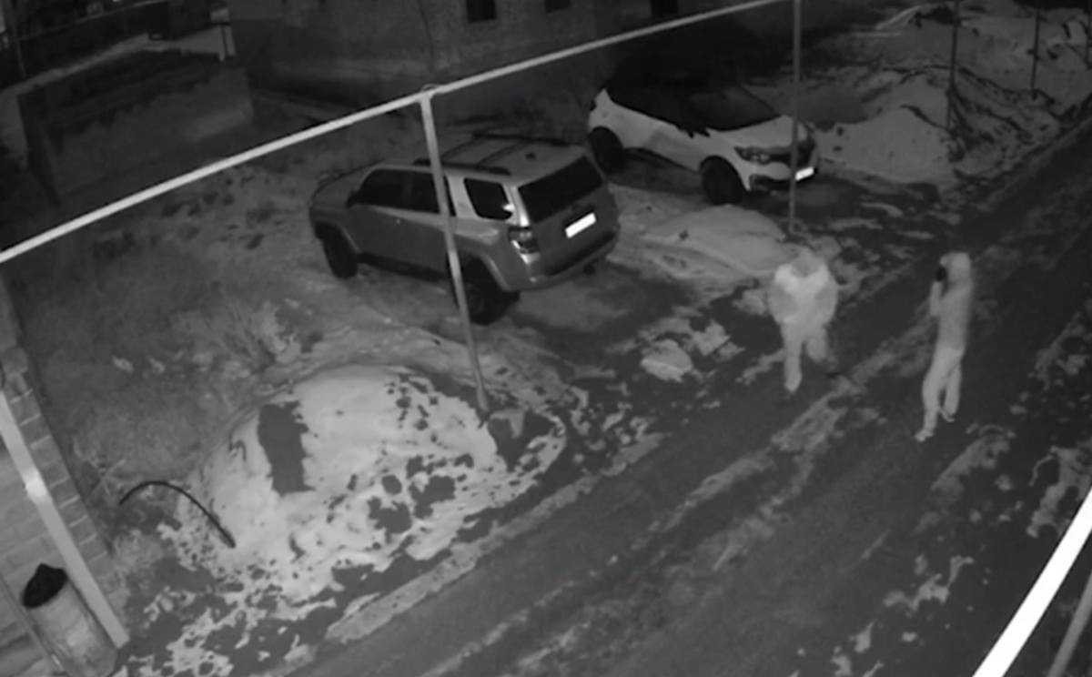 Группу квартирных воров задержали в Алматы