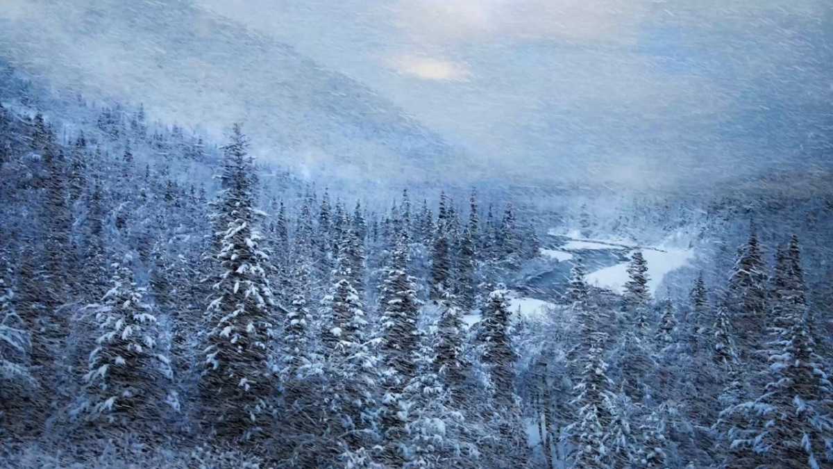 Шокирующие качели погоды: что ждет Казахстан в январе с метелями и оттепелями