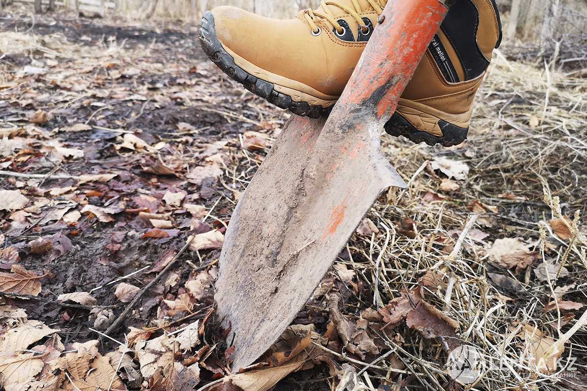 2,1 млн га неиспользуемых земель досрочно возвращены в государственную собственность