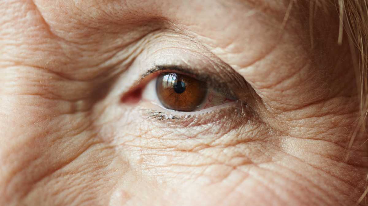 Ученые назвали замедляющий старение организма продукт