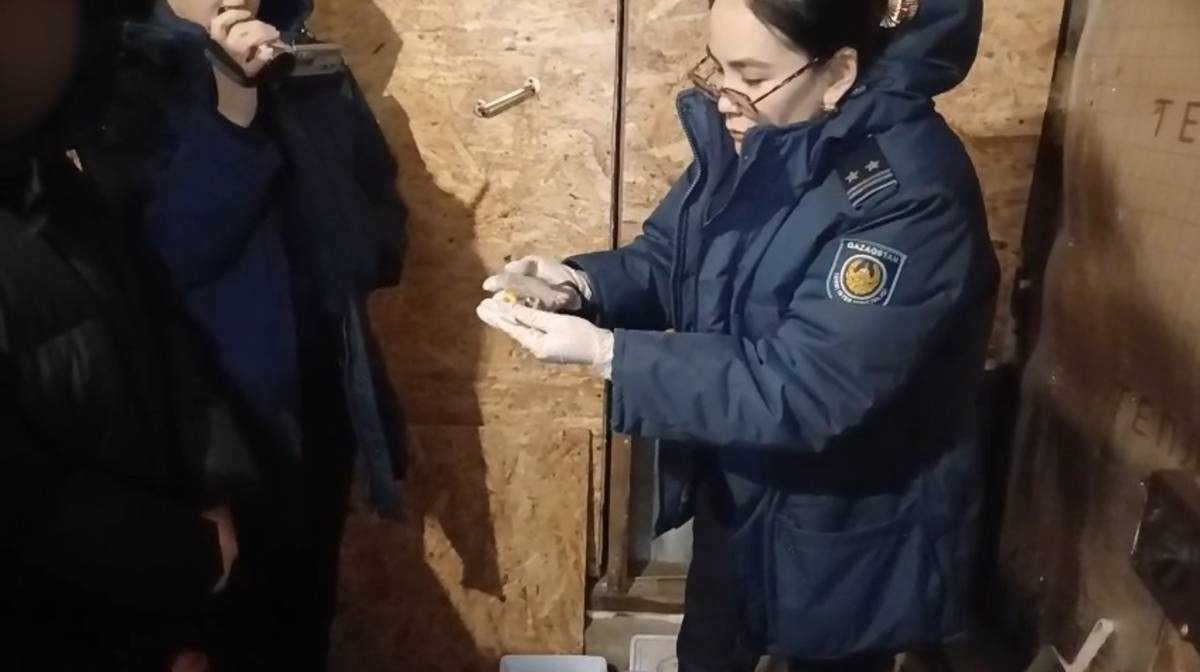 280 свёртков с мефедроном изъяли у наркозакладчицы в Акмолинской области