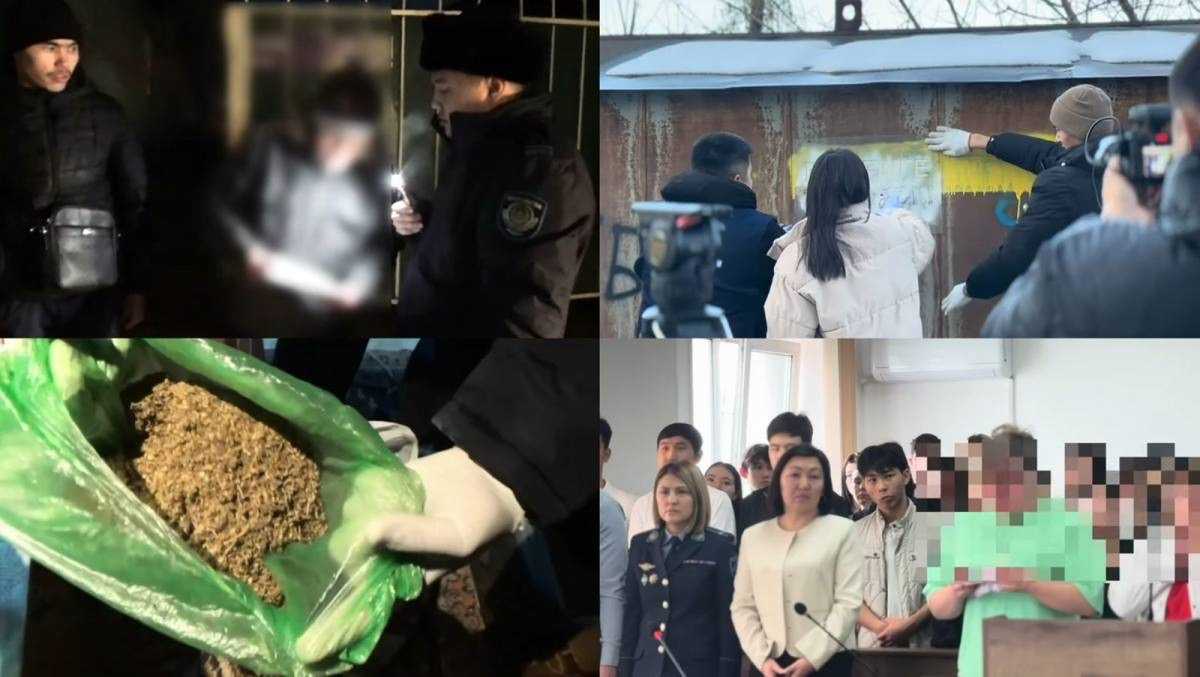 Более 700 кг наркотиков изъяли в Жетысуской области