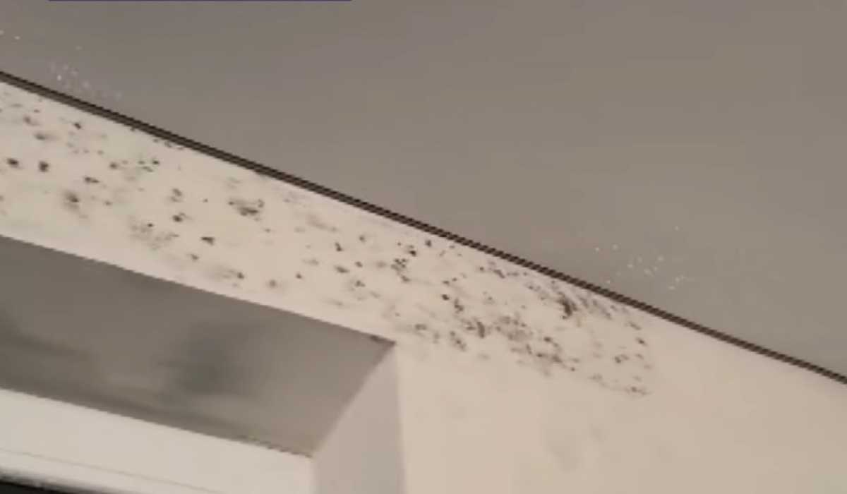 В Карагандинской области очередники отказываются заселяться в новый дом из-за плесени