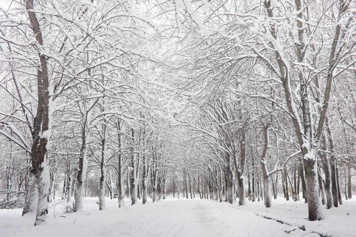 Какая погода ожидается в Астане, Алматы и Шымкенте 14–16 января