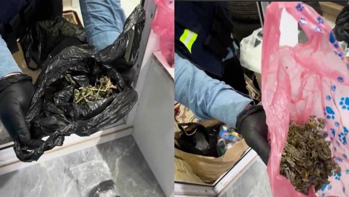 Крупную партию наркотиков обнаружили в квартире жительницы Астаны