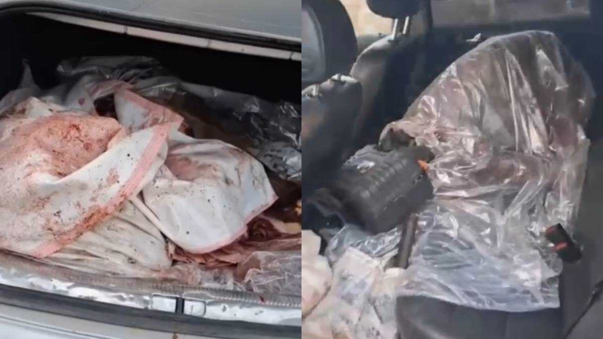 Отстрел лошади на пастбище: двух мужчин задержали в Жамбылской области