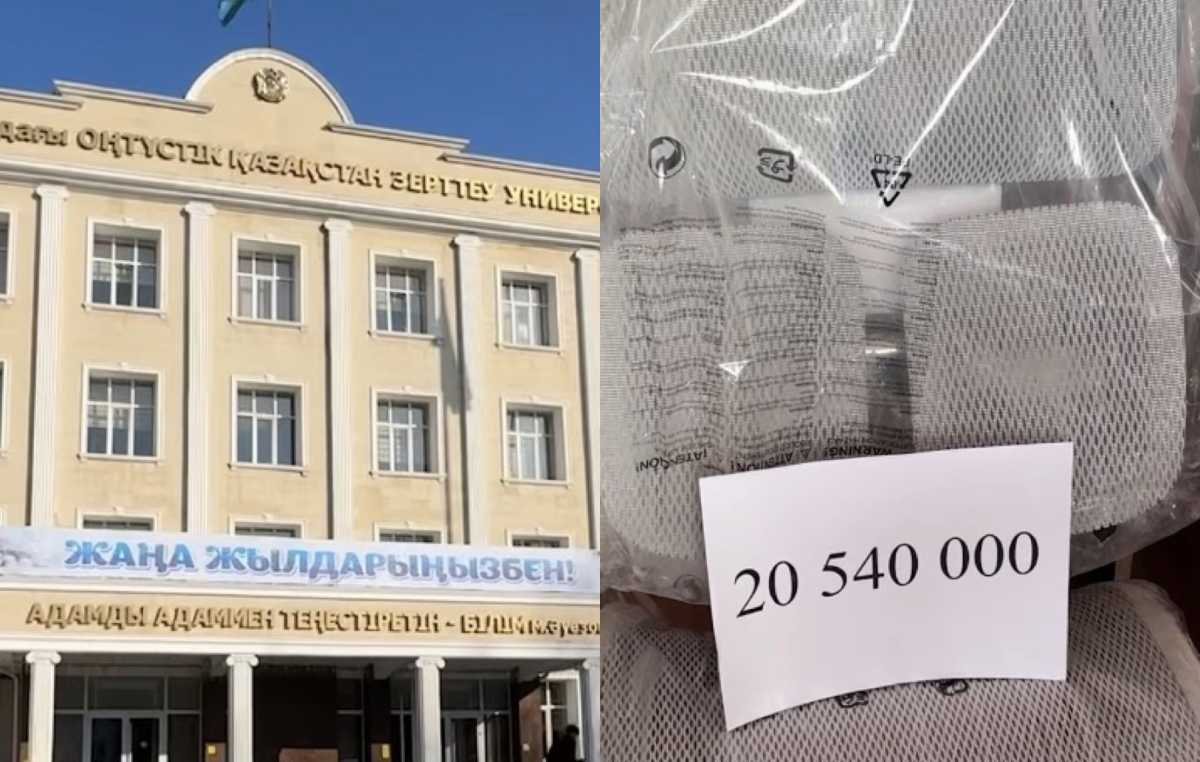 Кресло за 20 млн тг купил вуз в Шымкенте: в АФМ рассказали подробности