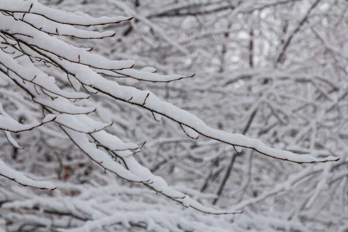 Какая погода ожидается в Астане, Алматы и Шымкенте 24–26 января