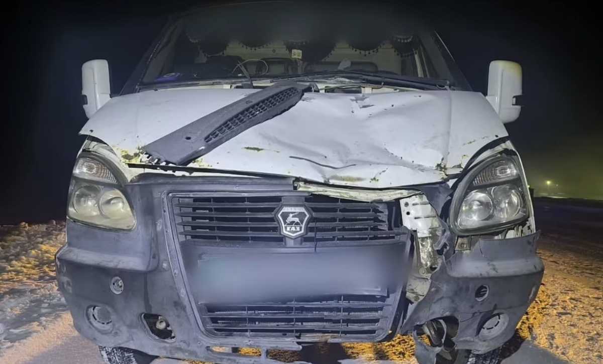Пешеход погиб под колёсами «Газели» на трассе в Павлодарской области