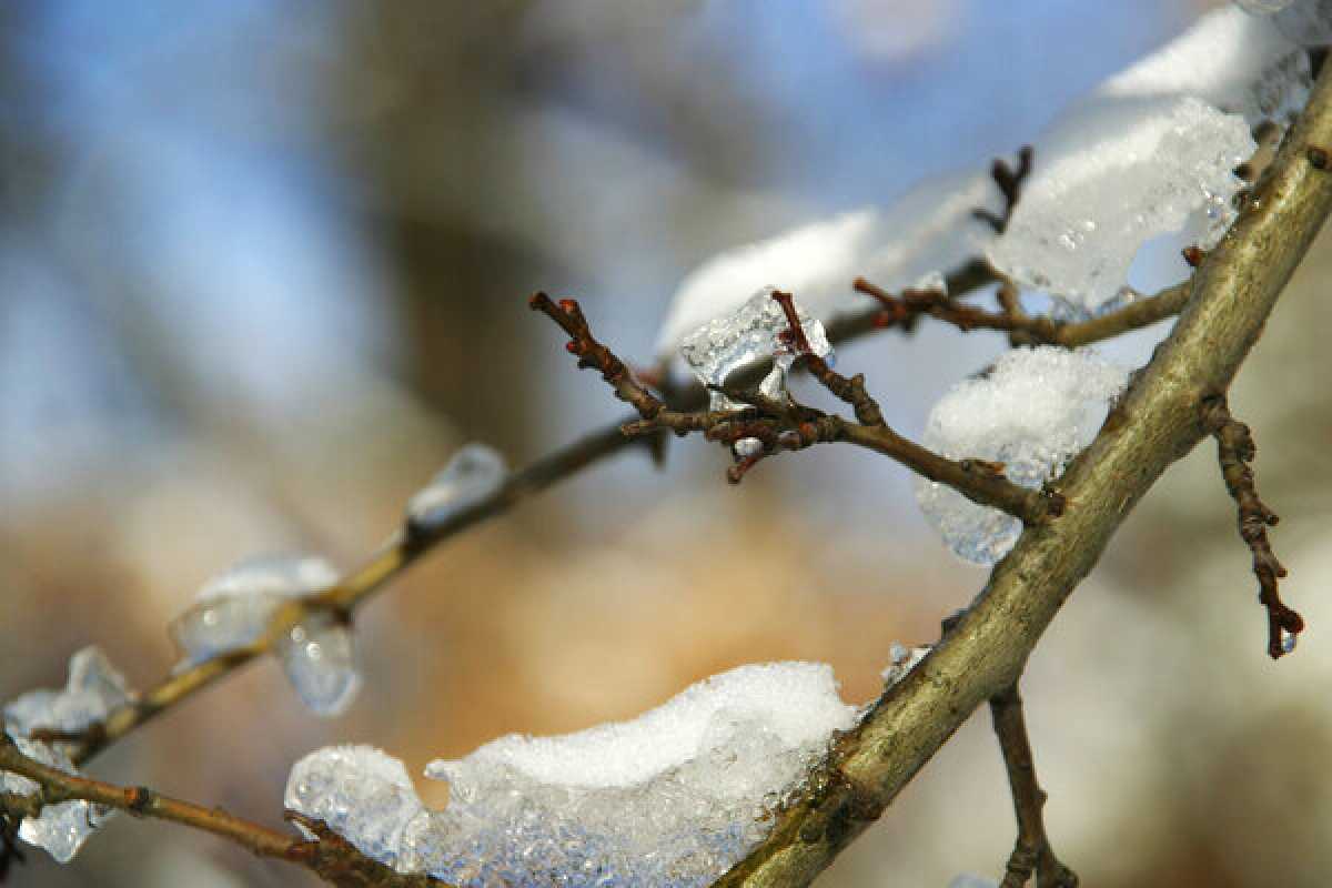 Потепление до +5 градусов ожидается в Казахстане в ближайшие дни