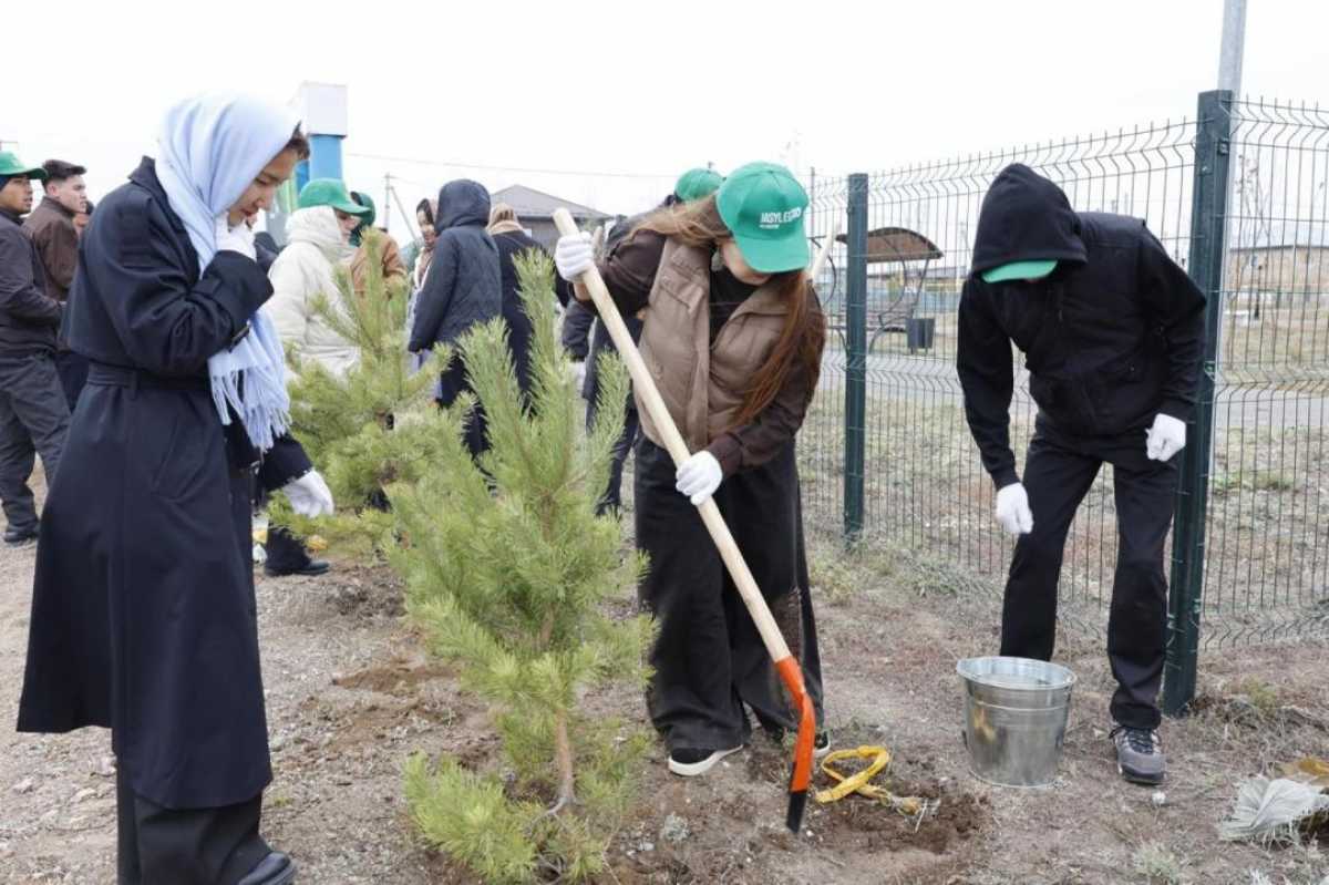 37 экологических инициатив запланированы в Акмолинской области на 2026 год