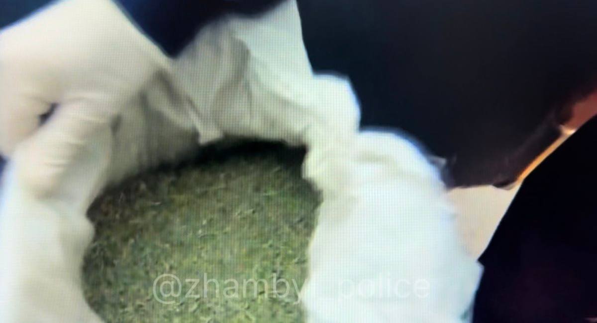 Более 43 кг марихуаны изъяли в Жамбылской области