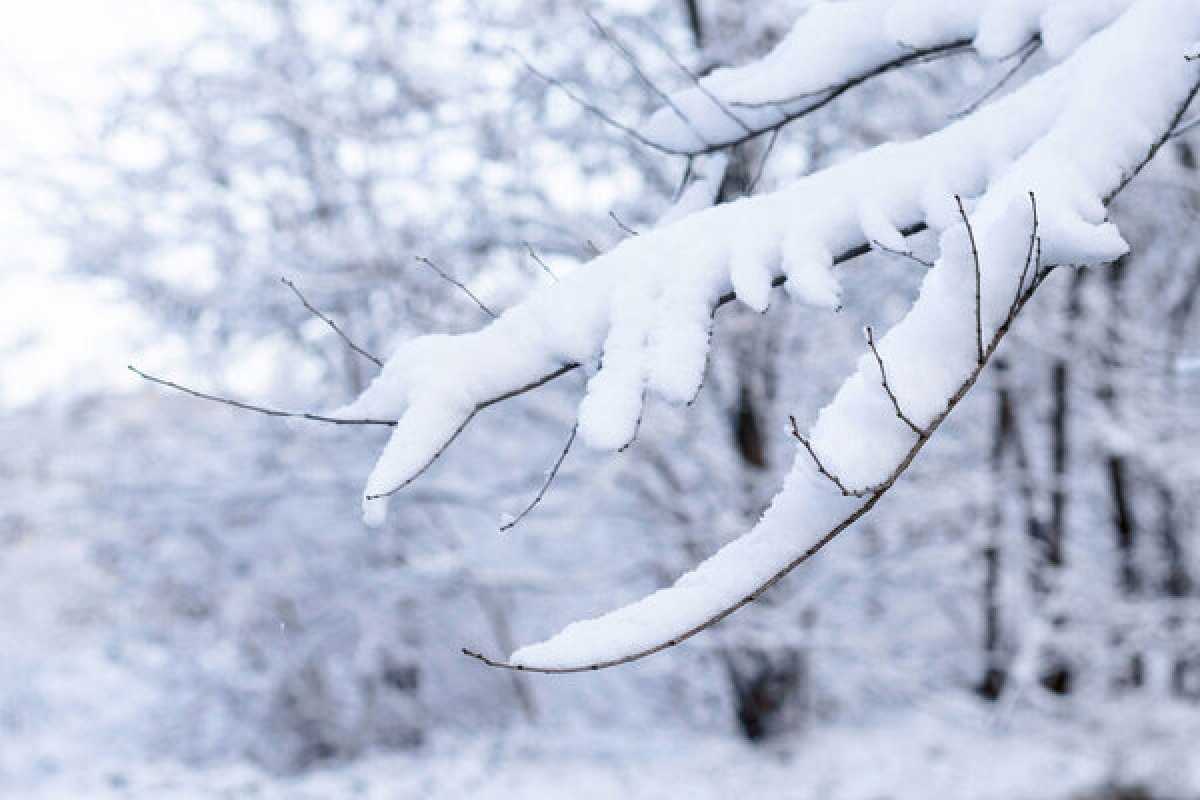 Какая погода ожидается в Астане, Алматы и Шымкенте 13–15 января