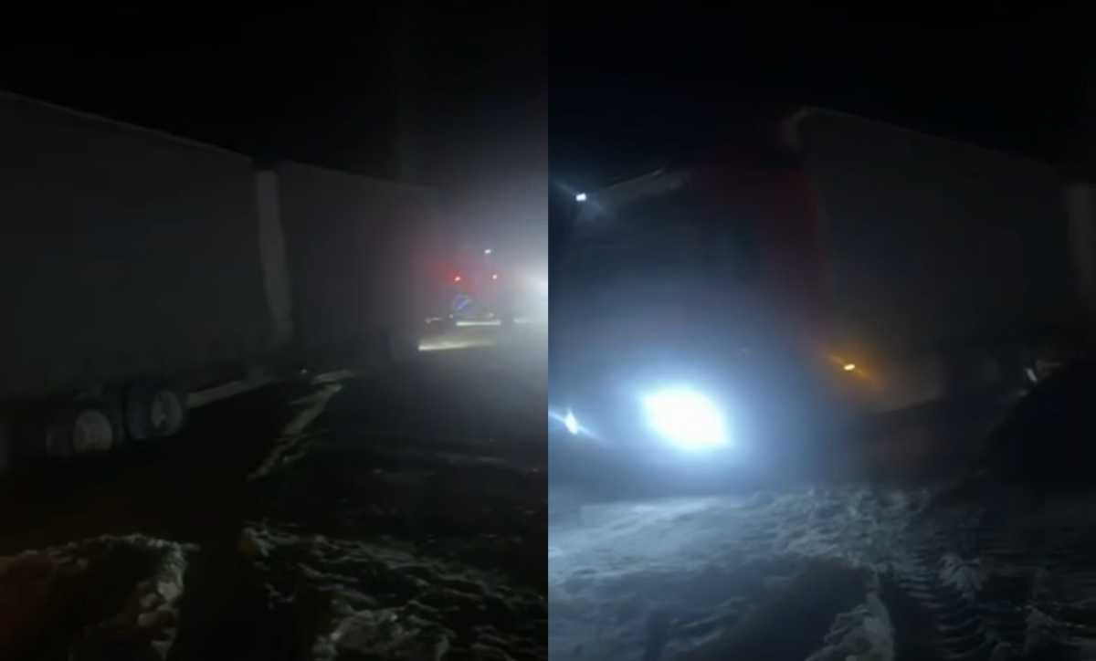 Грузовик с животными слетел в кювет в Костанайской области