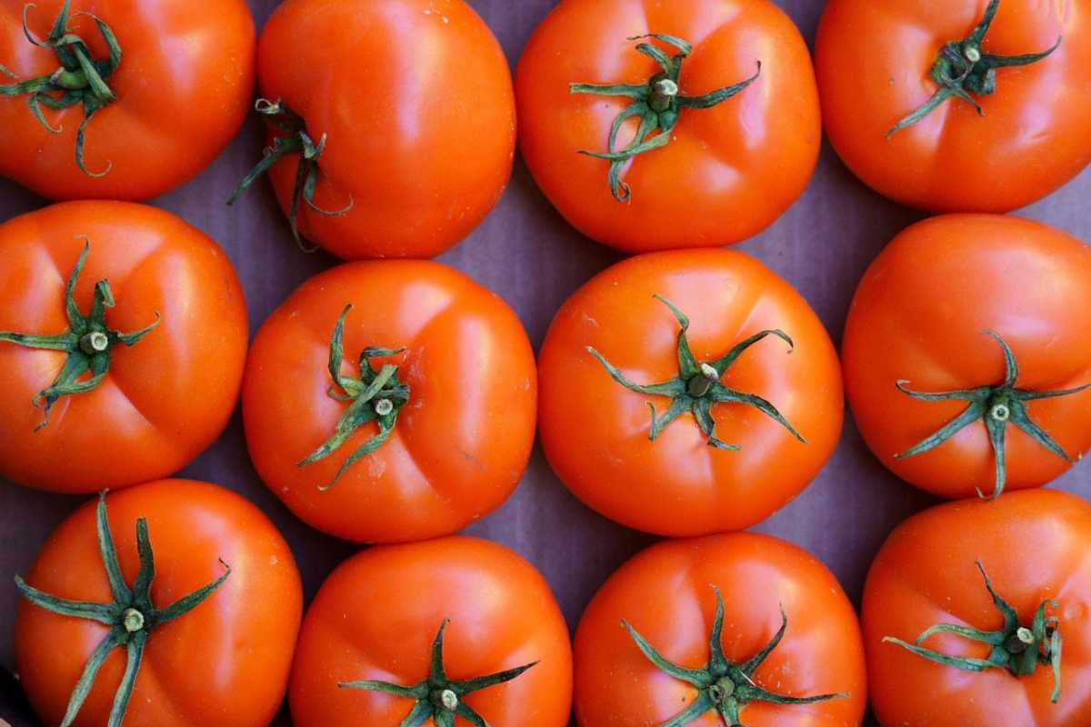 Факт ввоза зараженной подкарантинной продукции выявлен в аэропорту Астаны