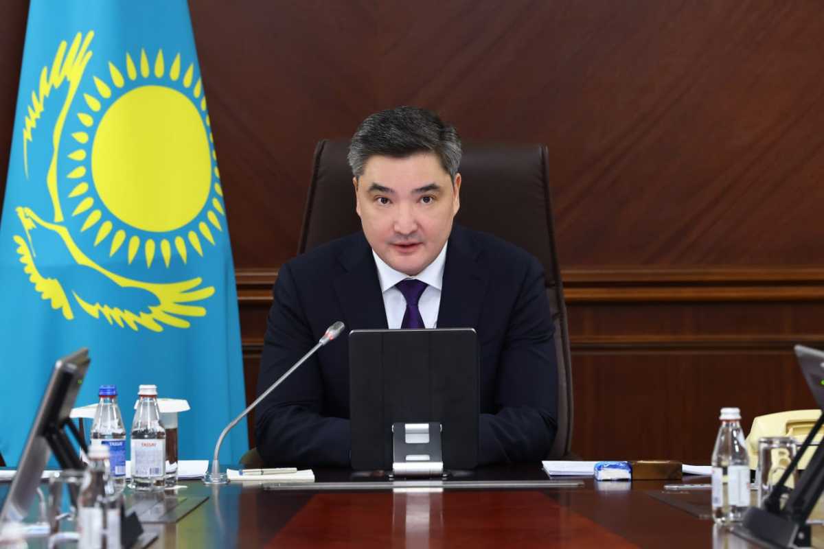 «Не должно быть кампанейщины»: Олжас Бектенов высказался о цифровизации