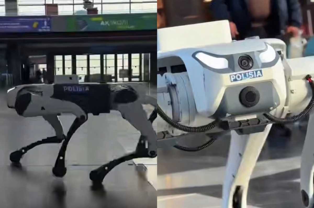 Робот-собака начал патрулировать общественные места Астаны