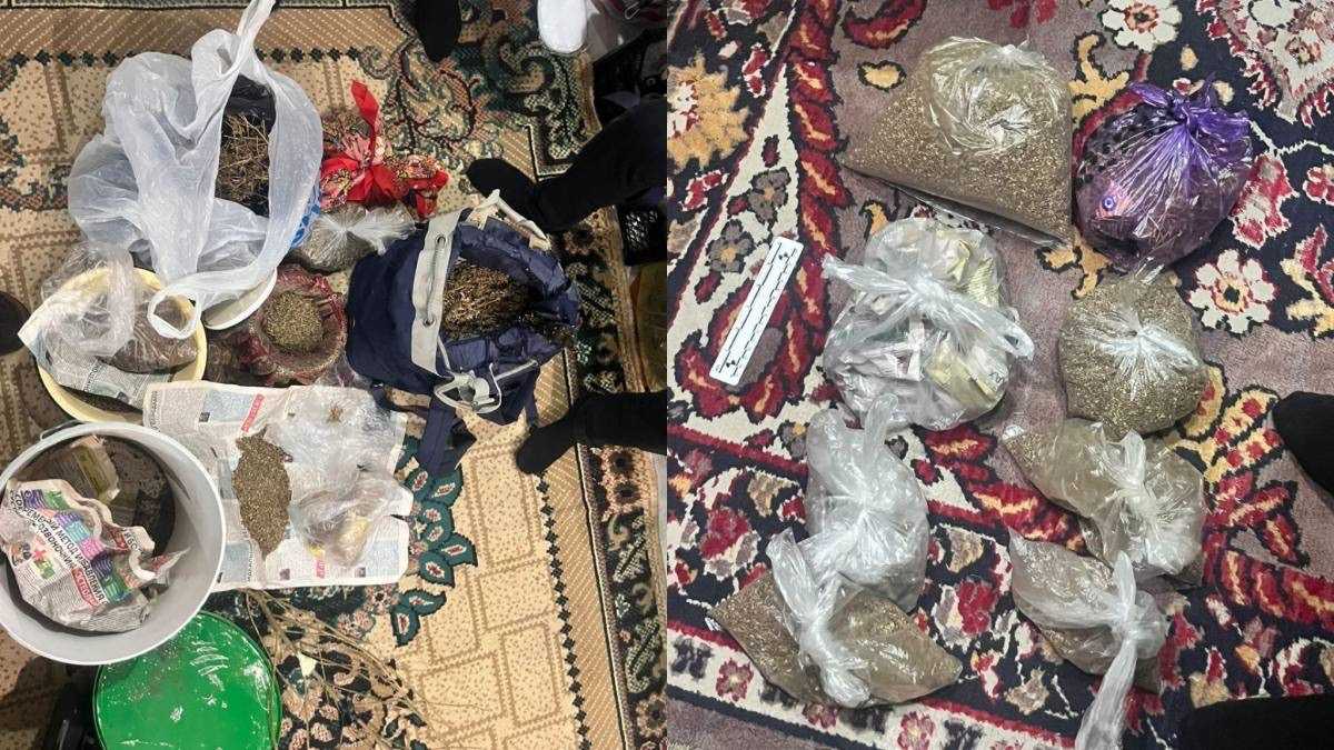 Крупную партию марихуаны обнаружили в доме жителя Акмолинской области
