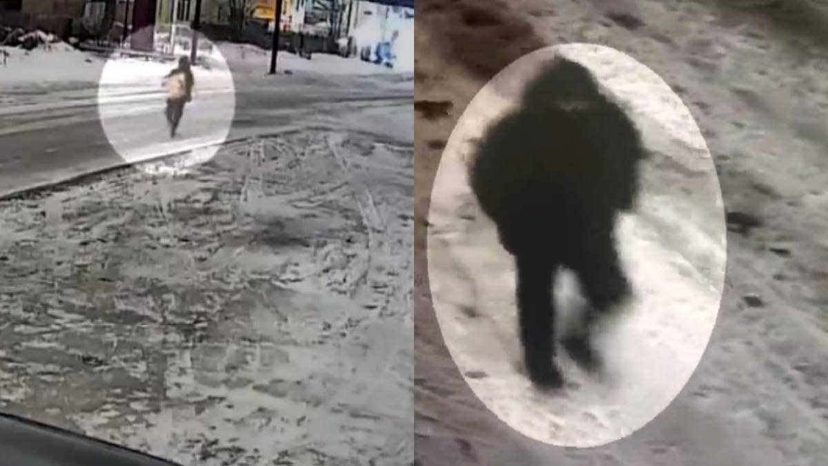 Полиция раскрыла кражу в крупном размере в Караганде