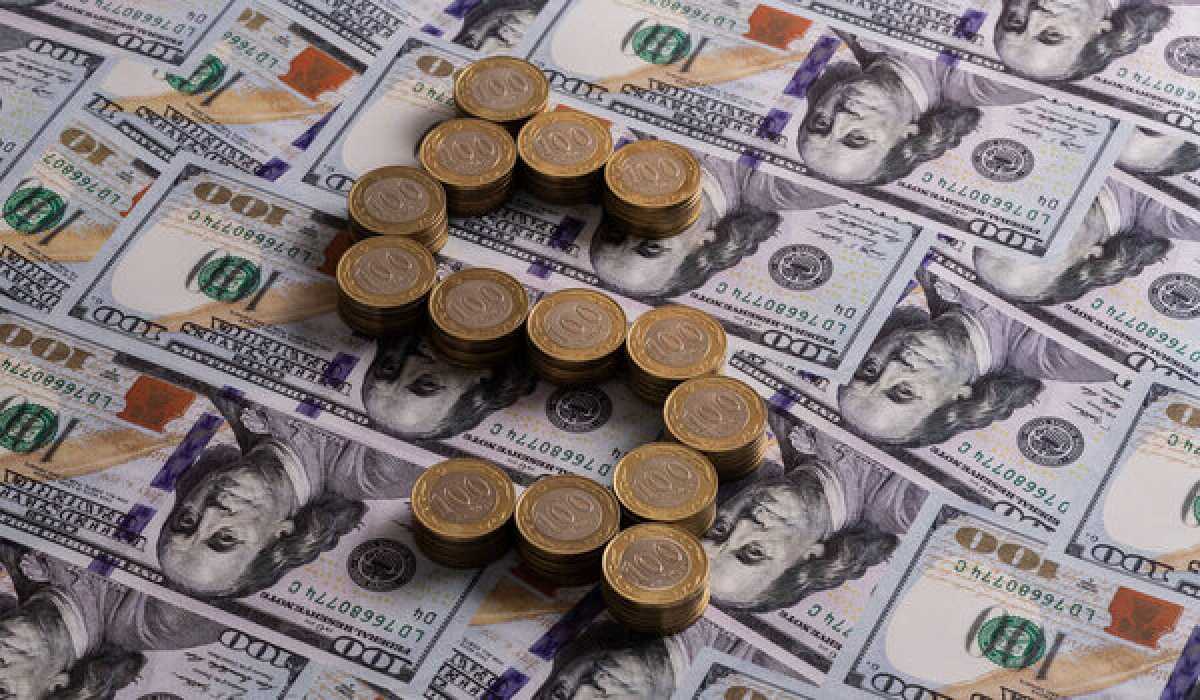 Курс доллара в Казахстане опустился ниже 491 тенге