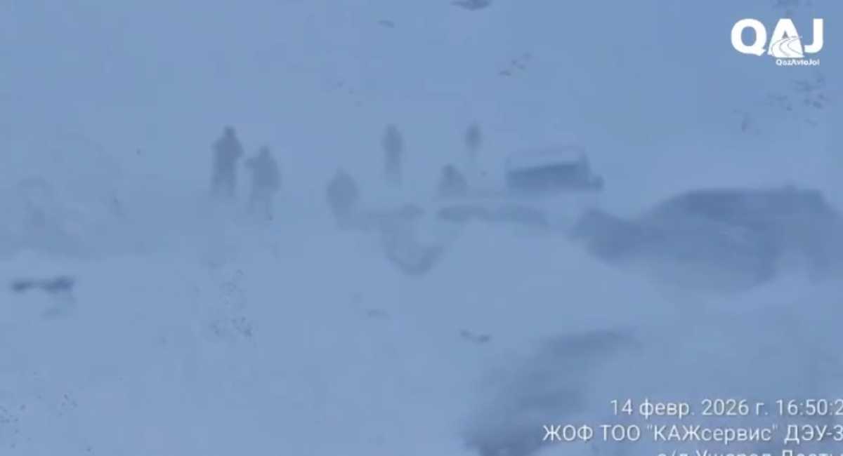 Массовое ДТП произошло на закрытой для движения трассе в Жетысуской области