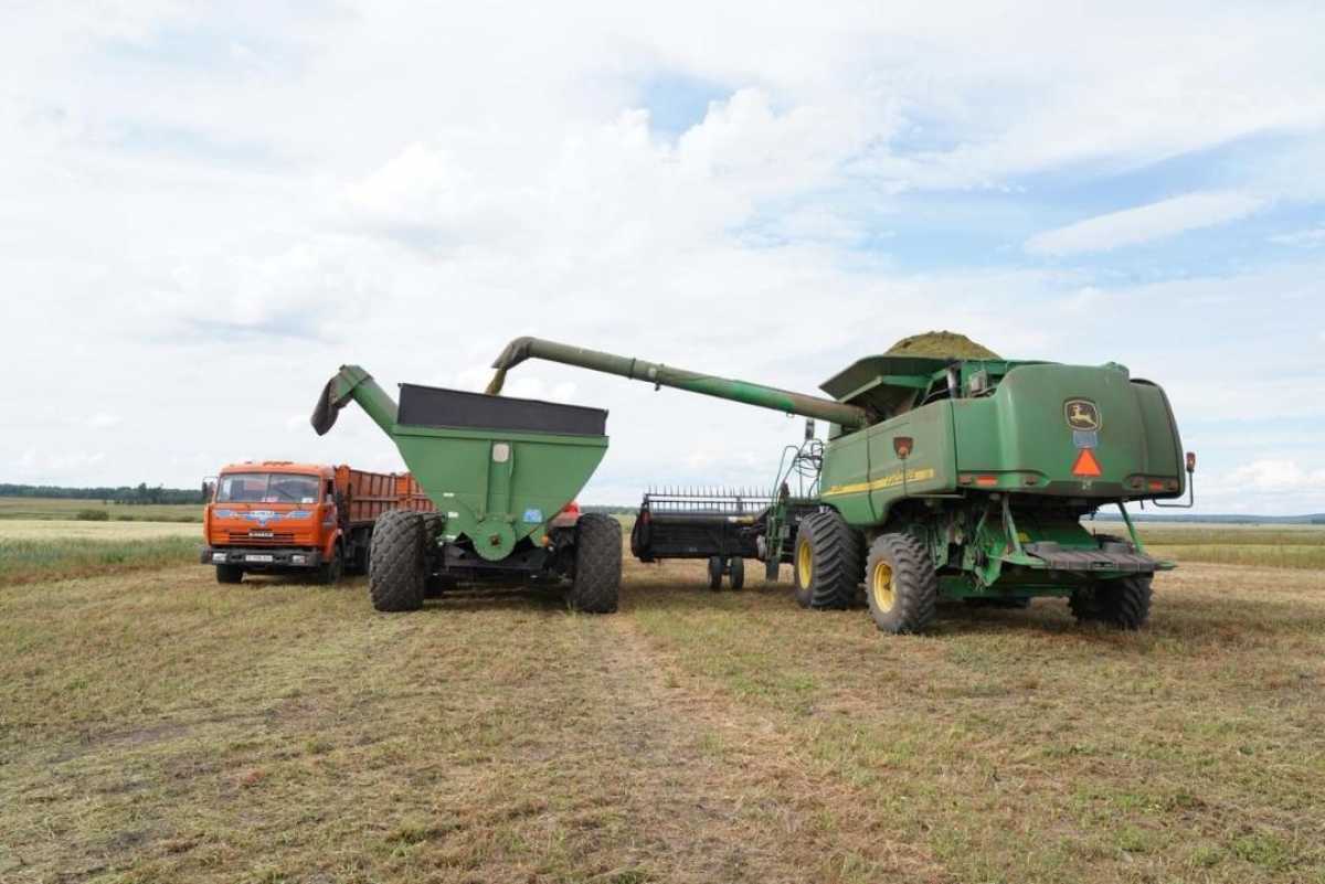 Акмолинская область — лидер по росту АПК: валовая продукция 1,2 трлн тенге (+15,9%)