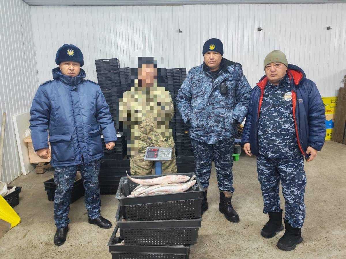 Десятки килограммов рыбы и запрещённые сети: браконьера задержали в Жетысуской области