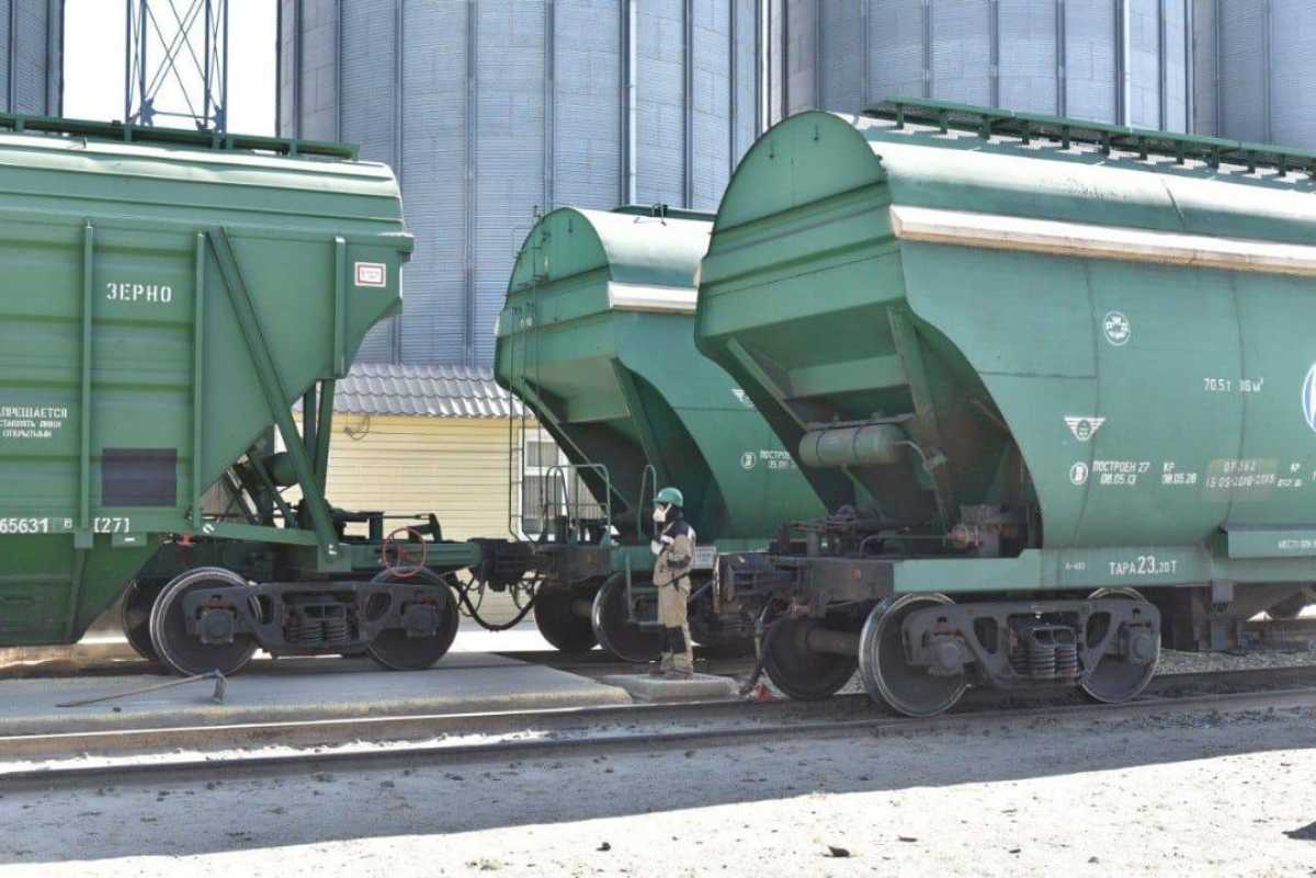 Экспорт казахстанского зерна вырос на 19,7%: за сезон поставлено 6,4 млн тонн