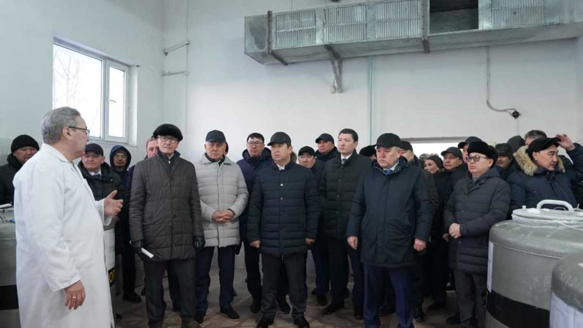 Рассмотрены актуальные вопросы развития племенного животноводства