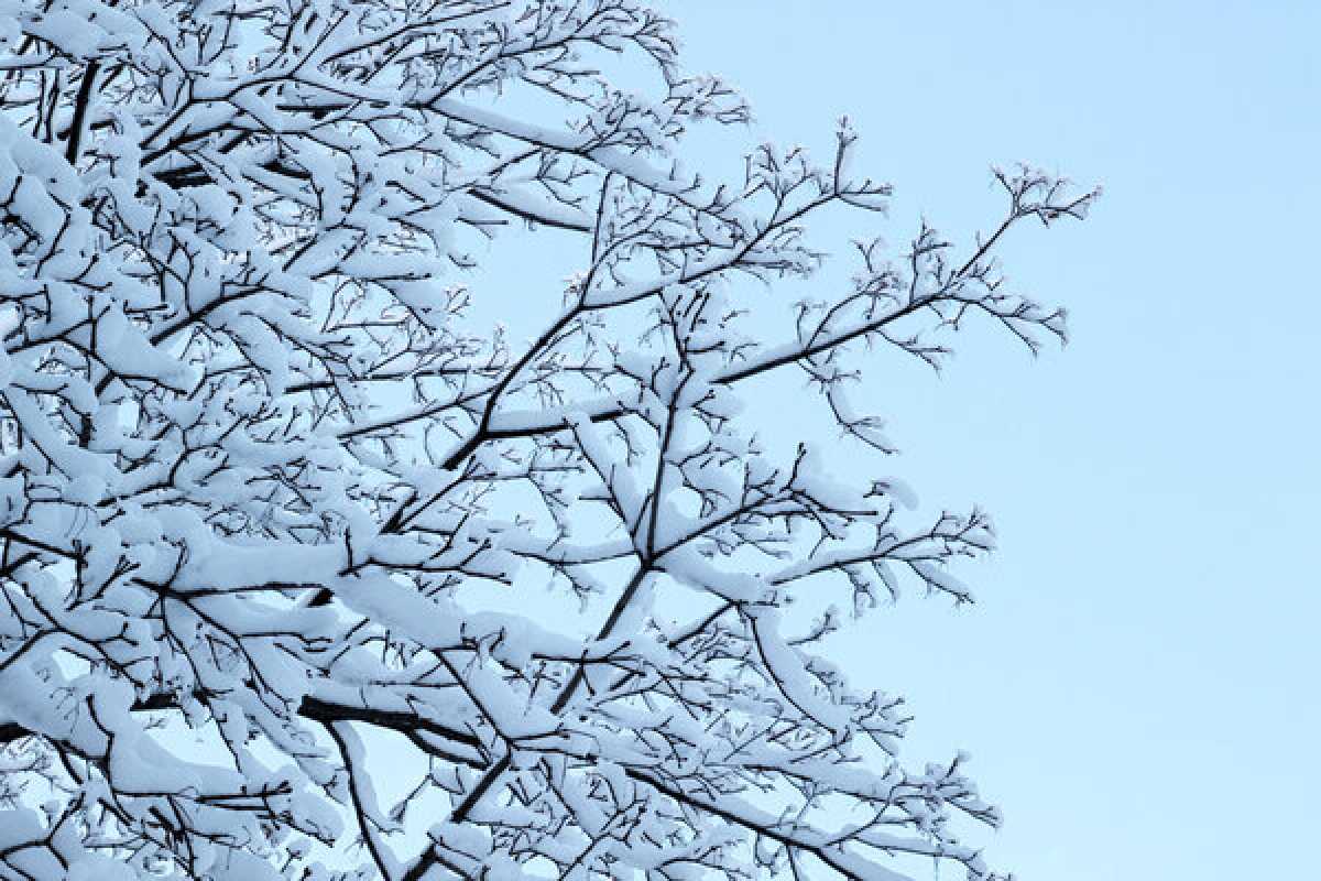 Какая погода ожидается в Казахстане в последние дни зимы