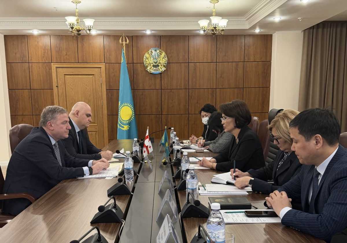Казахстан и Грузия договорились расширить сотрудничество в сфере здравоохранения