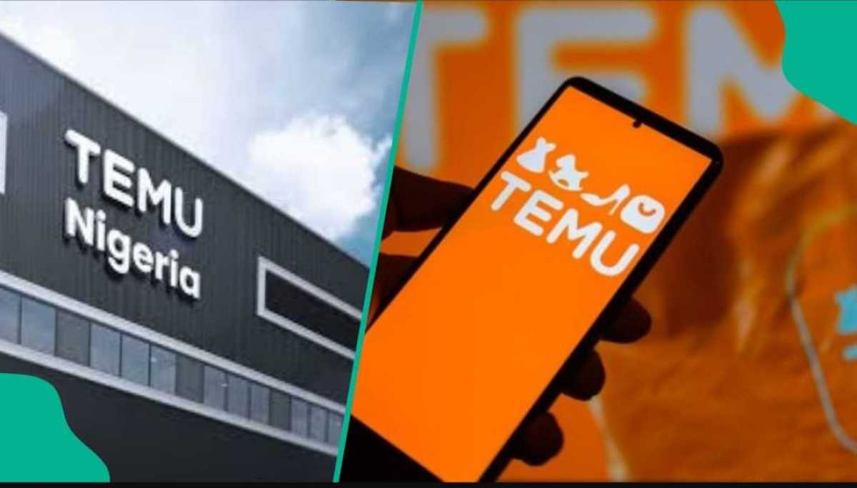 Расследование против Temu начали в Нигерии