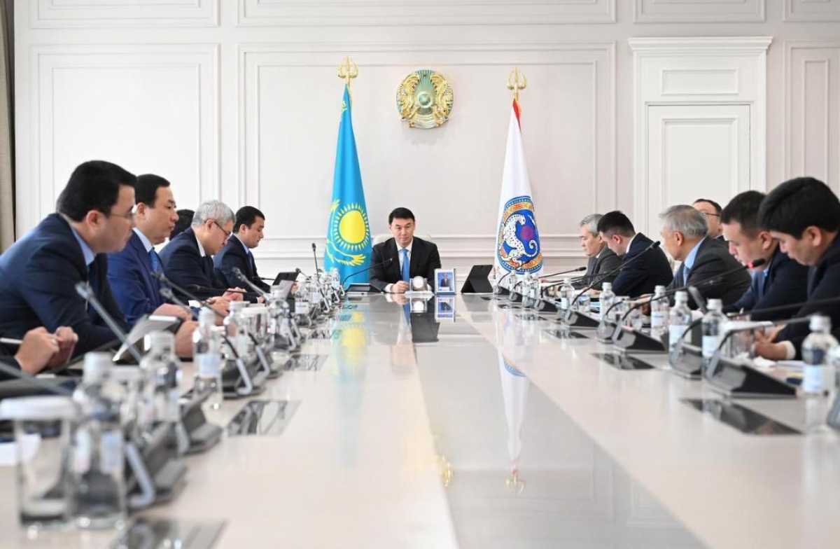 В Алматы обсудили конституционную реформу с активом города