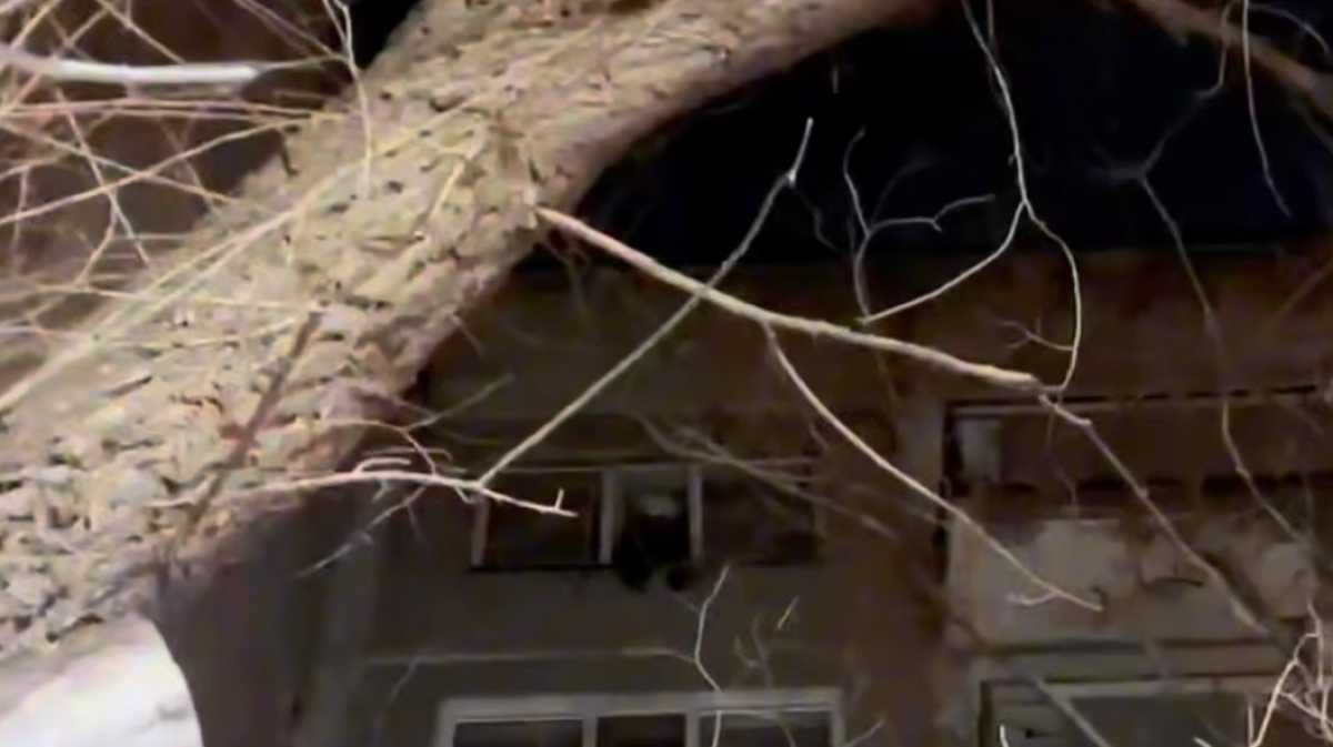 Ребёнок на подоконнике: спасатели предотвратили трагедию в Караганде