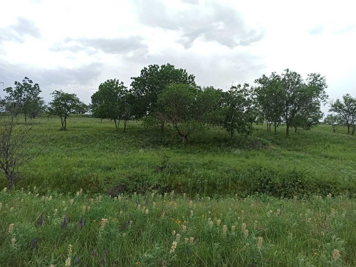 В Жамбылской области земли сельхозназначения возвращены в государственную собственность