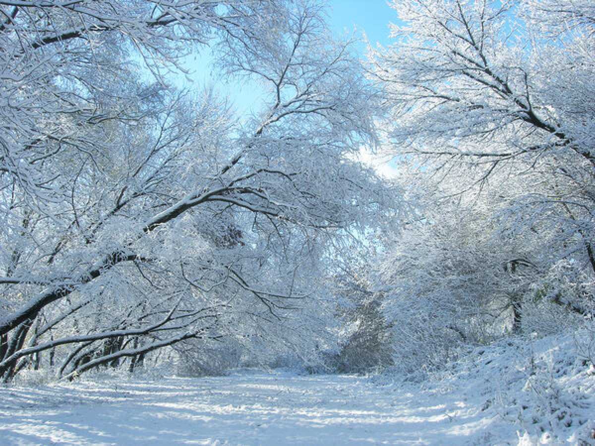 Морозы до –33 градусов ожидаются в Казахстане в ближайшие дни