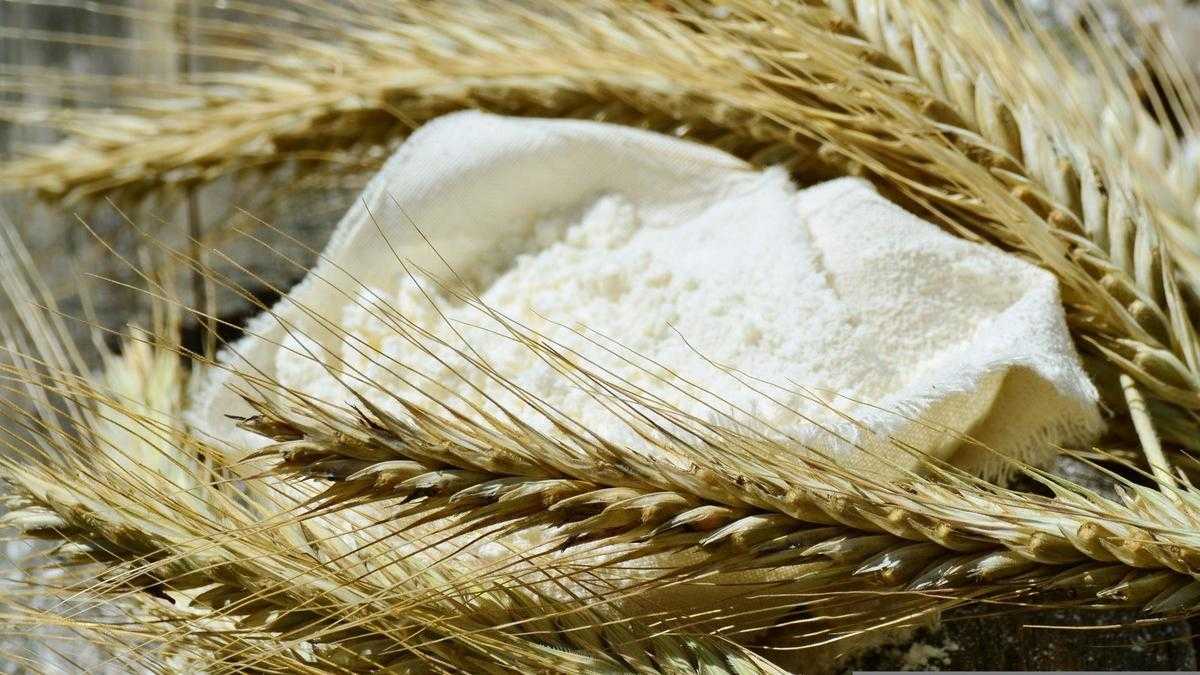 Контейнерный поезд с кормовой мукой отправлен в Китай