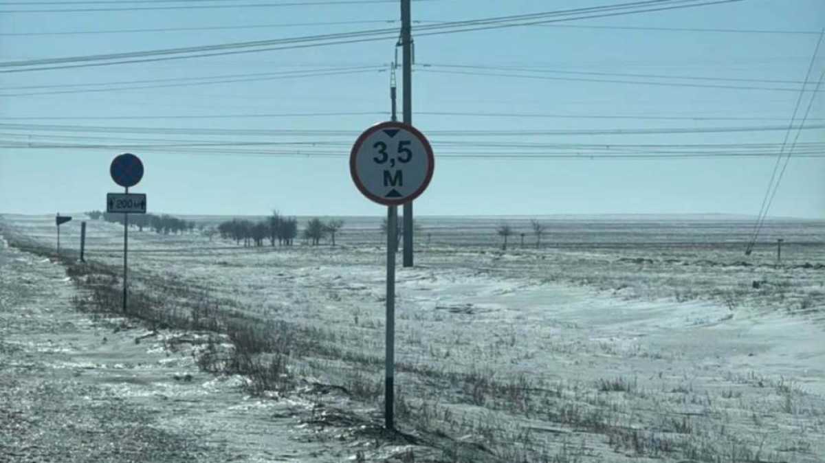 20 кошек и котят вывезли в степь и оставили умирать в области Абай