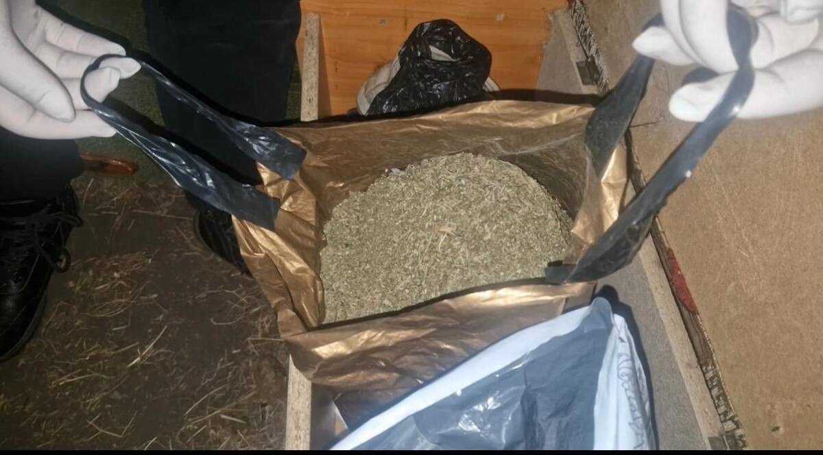 Тайник с марихуаной обнаружили в частном доме в ВКО