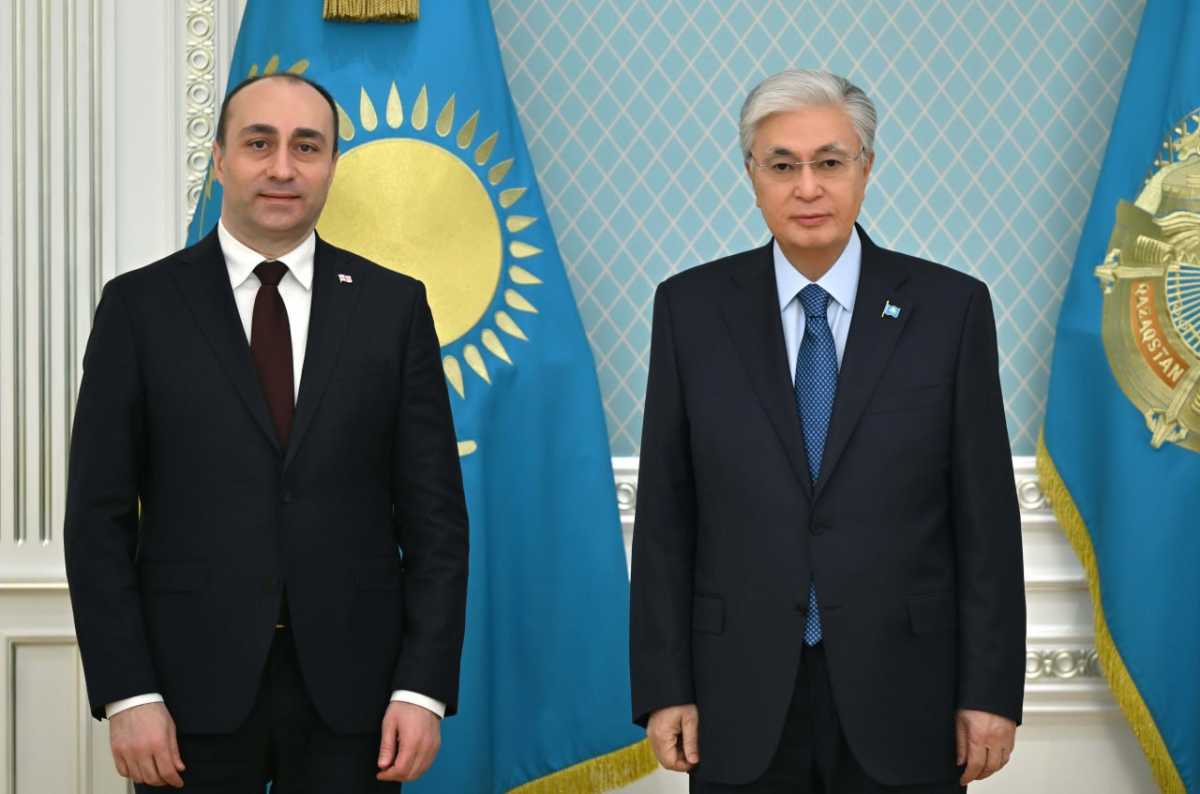 Токаев принял министра внутренних дел Грузии