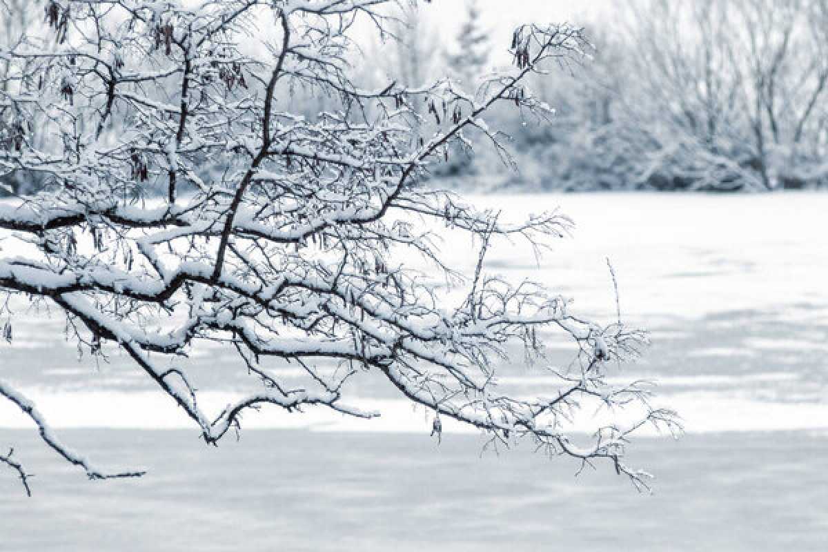 Какая погода ожидается в Астане, Алматы и Шымкенте 24–26 февраля