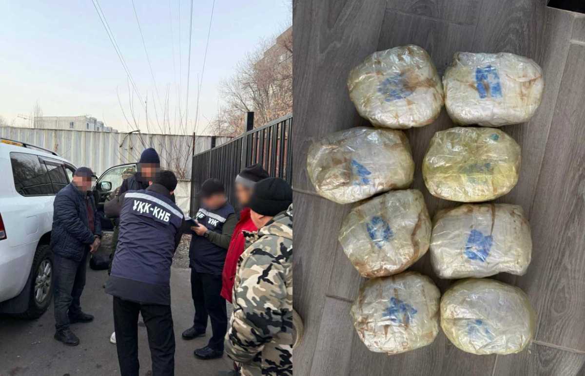 КНБ ликвидировал международный канал контрабанды наркотиков в Алматы