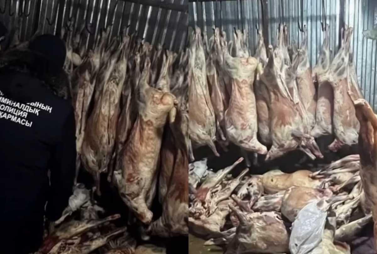 Подпольный мясной цех обнаружили в Астане: задержаны два человека