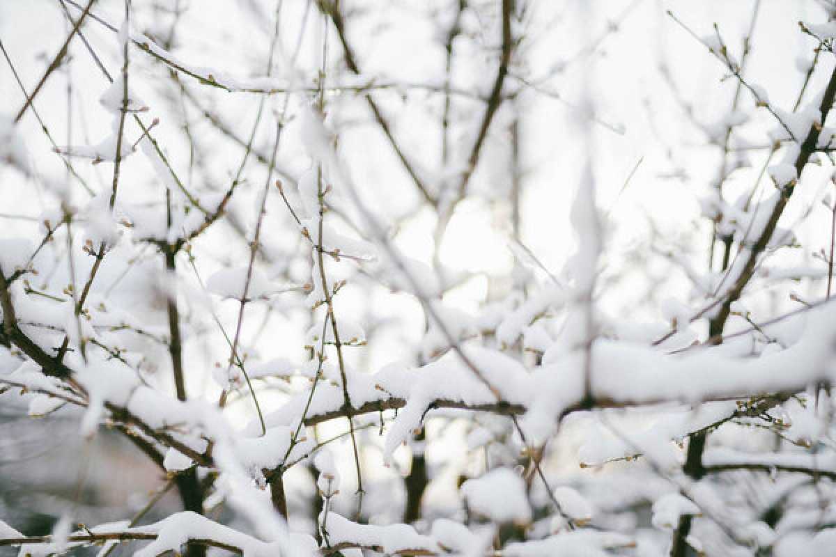 Какая погода ожидается в Астане, Алматы и Шымкенте 5–7 марта