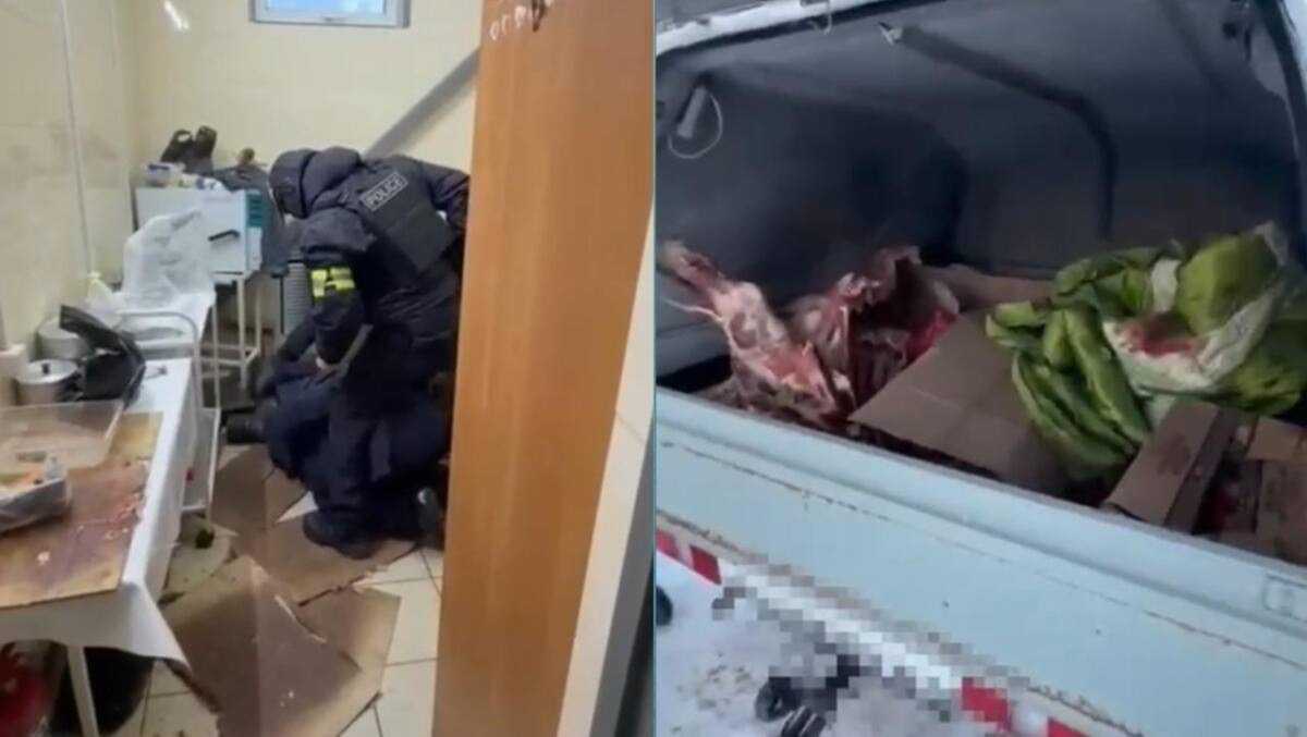 Похитил лошадей и обменял на авто: скотокрада задержали в ЗКО